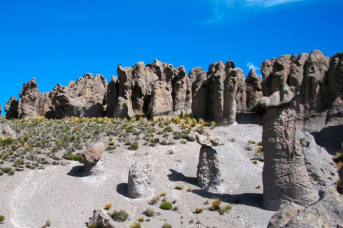 Arequipa | Pillones Watervallen en RotswoudArequipa: Pillones watervallen en rotsbos