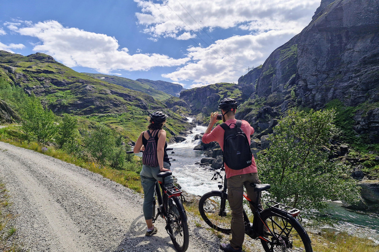 Guided, electric bicycle tour from Vatnahalsen (near Flam) Guided e-bike tour from Vatnahalsen (Myrdal) - Rallarvegen