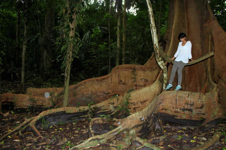 Pantano de Nariva: Experiencia de observación de monos