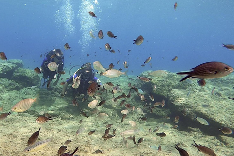 Heraklion: Lección de buceo para principiantes con instructor PADIInmersión para principiantes en la bahía de Agia pelagia - Sin traslado