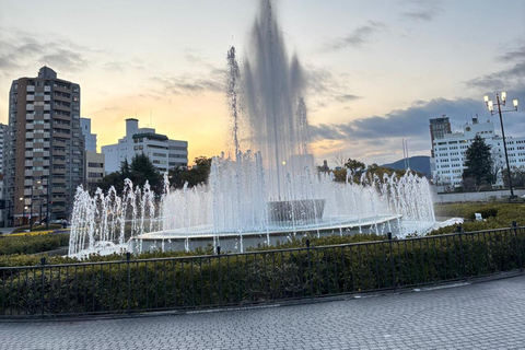 Hiroshima: Peace Memorial Park Guided Walking Tour