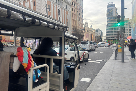 Madrid: Tuk-tuk tour of the historic center and highlights Madrid: 2-hour tuk-tuk tour of the historic center and highlights