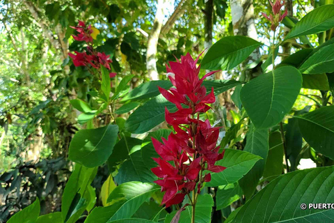 Vlindertuin Plus Apen en sigaren Puerto Plata-tourVlindertuin Plus Apen en sigaren in Puerto Plata