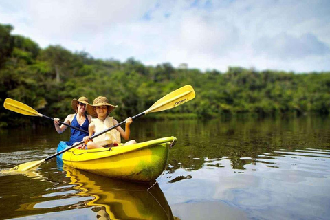 Depuis Puerto Maldonado || Visite à la journée en kayak + l&#039;île aux singes