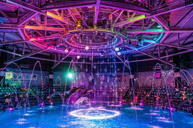 Tokyo : visite nocturne en vélo électrique avec la tour de Tokyo et un spectacle de dauphins