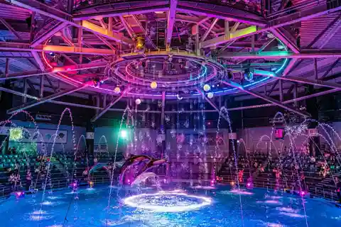 Tokyo : Night E-Bike Tour with Tokyo Tower and Dolphin Show