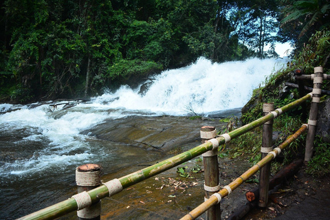 Trek at Doi Inthanon National Park & Pha Dok Siew Trail Trek Tour Doi Inthanon National Park & Pha Dok Siew Trail Trek