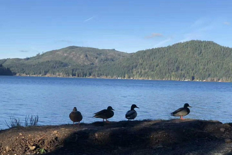 Olympic National Park Small Group Day Tour w/ State Ferries