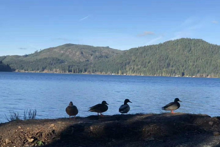 Olympic National Park Small Group Day Tour w/ State Ferries