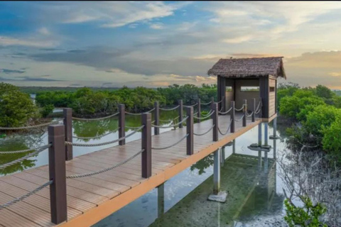 Doha:North Tour,Purple Island,Al zubara Fort,Jumail Village