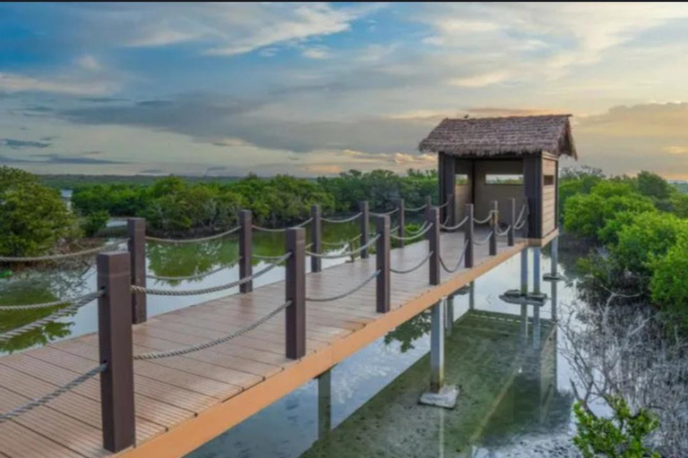 Doha:North Tour,Purple Island,Al zubara Fort,Jumail Village