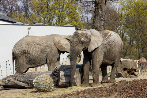 Warschau Dierentuin Park met Eigen Vervoer5 uur in de dierentuin met privé vervoer