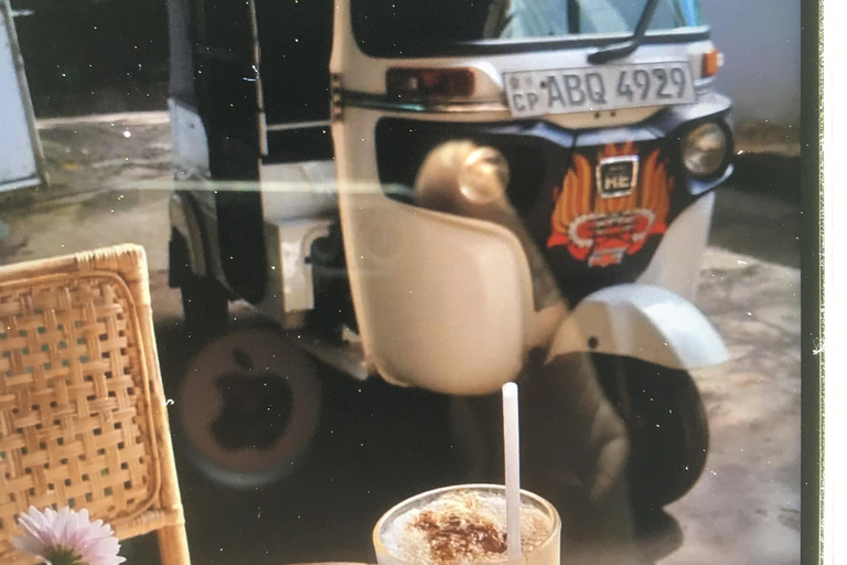 Kandy: Knuckles Mountain Range Guided Trekking Tour