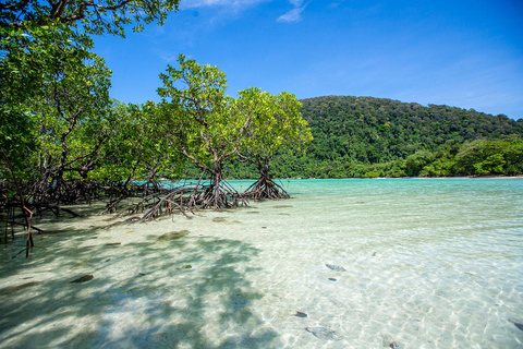 Da Phuket: escursione di snorkeling alle Isole Surin