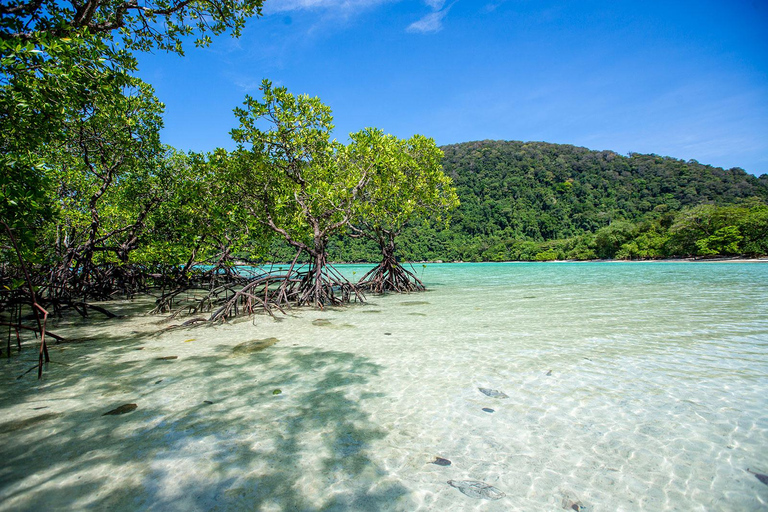 Z Phuket: wycieczka z rurką na wyspy SurinZ Phuket: wycieczka snorkelingowa na wyspy Surin