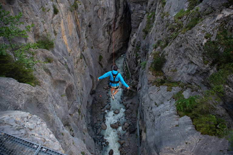 Zurich : excursion d&#039;une journée à Interlaken et Canyon Swing au départ de Grindelwald