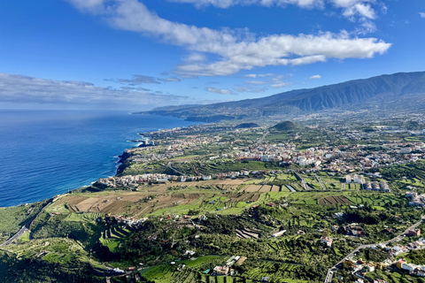 Puerto de la Cruz: Quad Tour with Off-Road Route, Viewpoints & Photos Single Quad (1 person per quad)