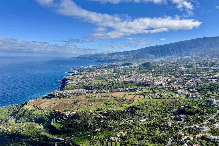 Puerto de la Cruz: Quad Tour with Off-Road Route, Viewpoints & Photos Single Quad (1 person per quad)