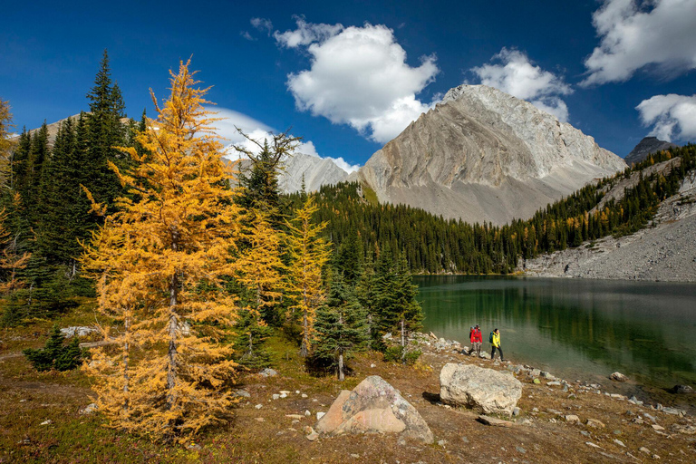 Canmore: 3 Hour Local Explorer Tour and Hike with a Guide