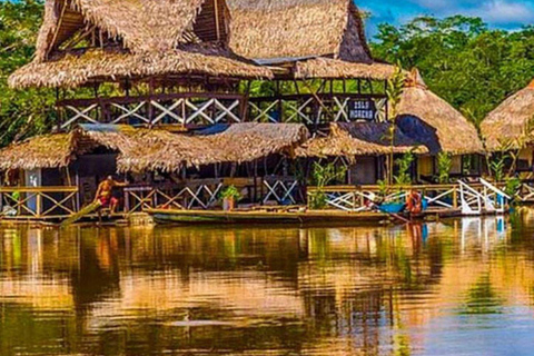 Iquitos || 2 days in the Amazon, natural wonder of the world