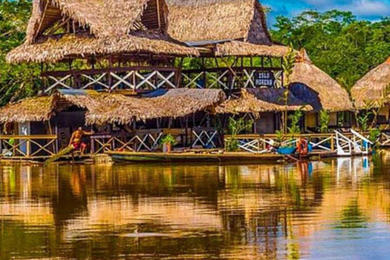 Iquitos || 2 days in the Amazon, natural wonder of the world