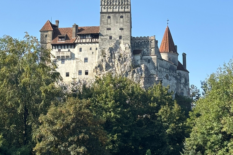 Brașov Day Tour : Bran Dracula’s Peleș & Wednesday Castles