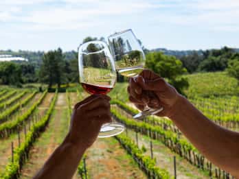 De Albufeira: excursão de meio dia às vinícolas e Silves