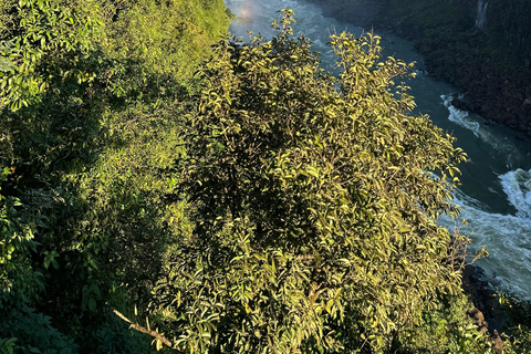 Visite privée des chutes d&#039;Iguaçu côté brésilien et argentin