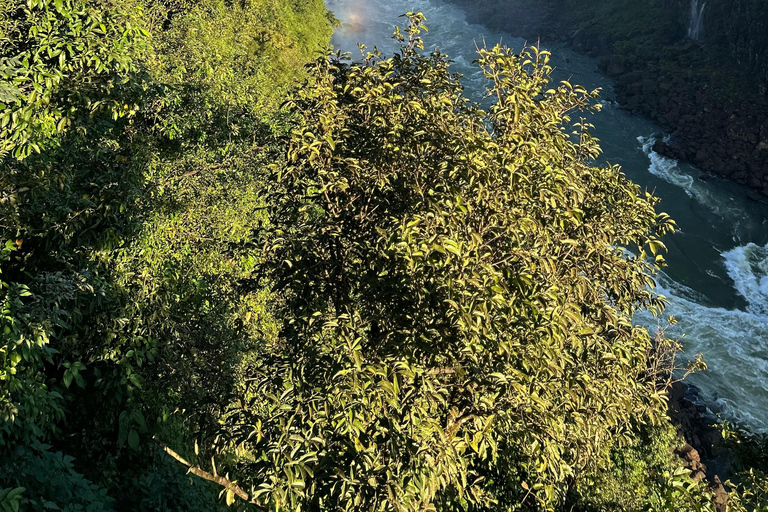 Visite privée des chutes d&#039;Iguaçu côté brésilien et argentin