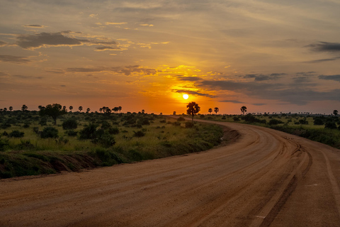 坎帕拉：穆西西瀑布Safari之旅，含尼罗河游船及犀牛观赏坎帕拉：穆希逊瀑布Safari之旅，含尼罗河游轮及犀牛观赏