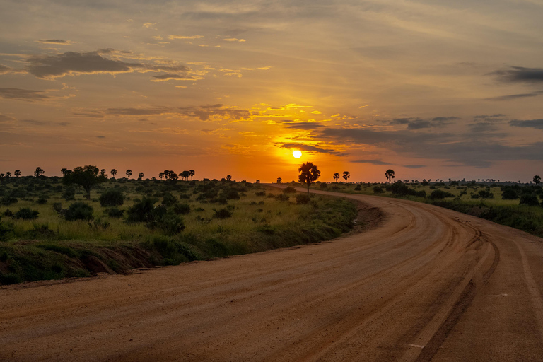 坎帕拉：穆西西瀑布Safari之旅，含尼罗河游船及犀牛观赏坎帕拉：穆希逊瀑布Safari之旅，含尼罗河游轮及犀牛观赏