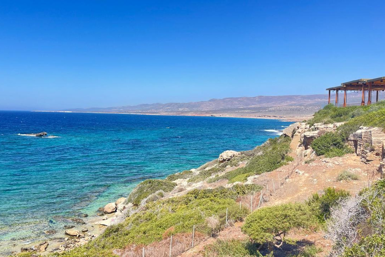 Myths, Waves & Wine: Cyprus in a Day