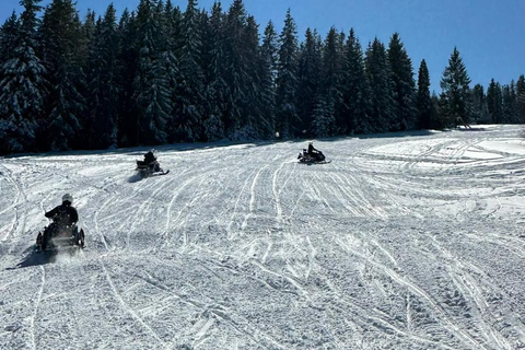 Extreme Snowmobile Tour +Zakopane Visit +Bonfire +Tasting