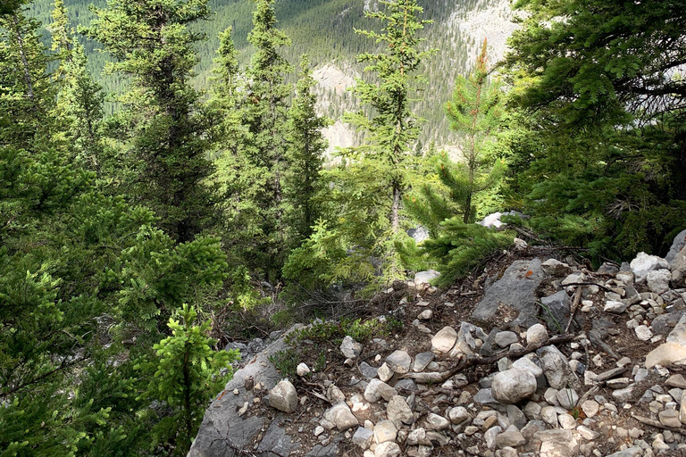 Tour particular - O melhor de Canmore / Kananaskis