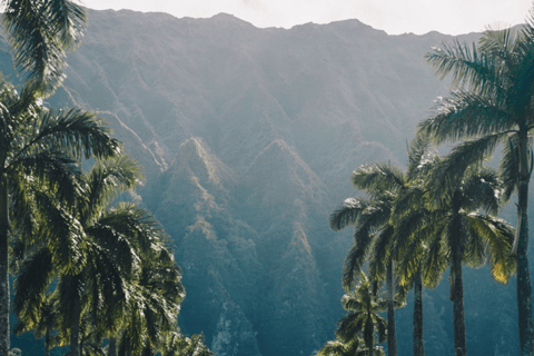 Det bästa av Oahu på en dag