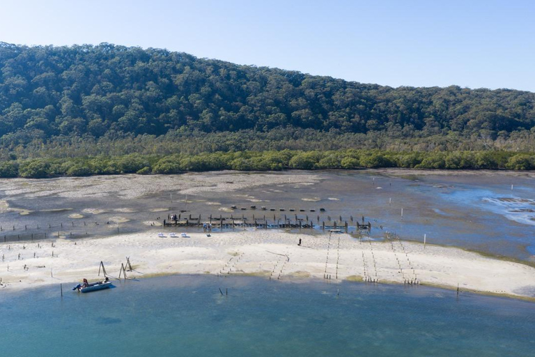 Stradbroke Island: First Nations Oyster Farm Tour & Tasting