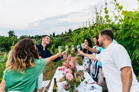 Dinner in the vineyard French Riviera