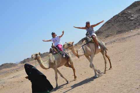 Hurghada: Safari no deserto de 5 horas em moto-quatro e churrascoPasseio de quadriciclo de 2 horas