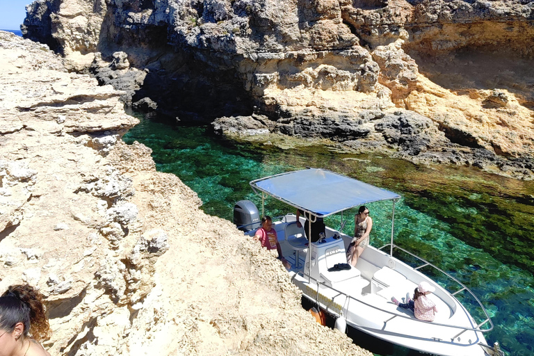 MALTE Gozo CominoCaves Crystal/BlueLagoon Excursions en bateau privé