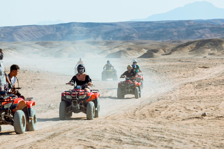 Makadi Bay: ATV, Horse, and Camel Ride Tour