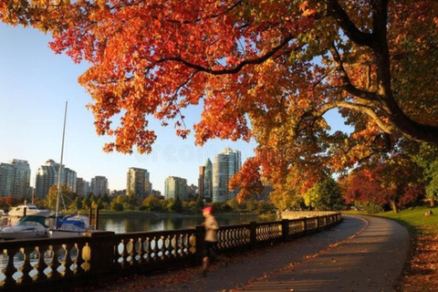 Vancouver : Must-See Attractions Walking Tour With A Guide Vancouver : 3 Hours Must-See Attraction Private Walking Tour