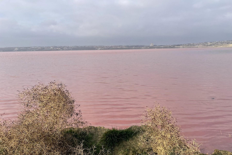 Baku: Pink Lake, Candy Cane & Besh Barmag m. Private Tour