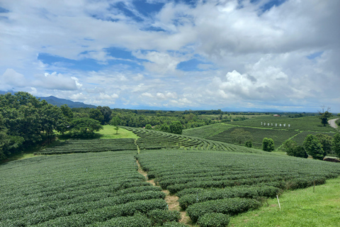 Chiang Rai: Northern Thailand Tour with Golden Triangle