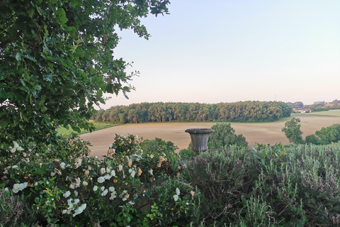 Château Arton : BESÖK OCH VINPROVNING