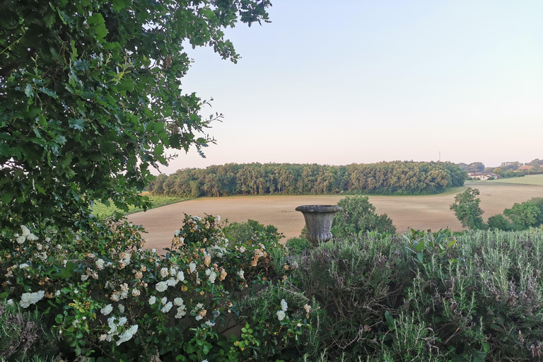 Château Arton : BESUCH UND WEINVERKOSTUNG