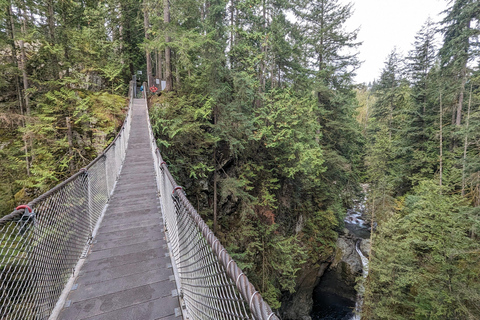 Grouse Mnt+StanleyPark+Hatchery+Cleveland Dam+LynnCanyonTOUR Shared Tour