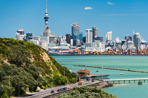 Lo Mejor de Auckland: Tour a pie privado con un lugareñoTour a pie privado por la ciudad - 3Hr