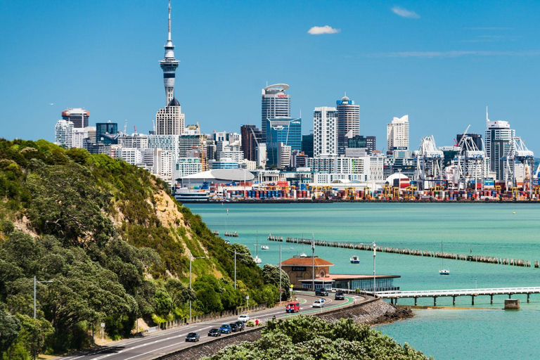 Best of Auckland: Private Walking Tour with a Local Private City Walking Tour - 5Hr