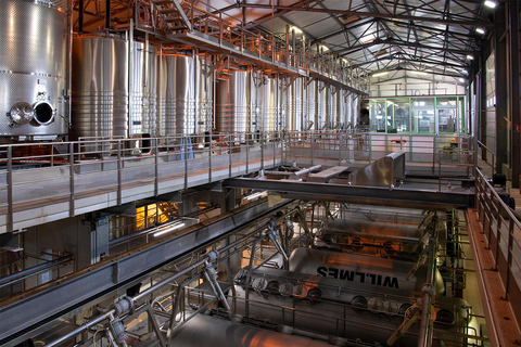 Wine tour of the Alsace wine route