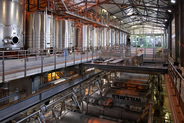 Wine tour of the Alsace wine route